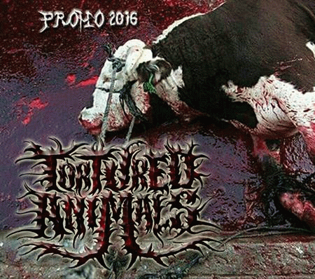 Tortured Animals : Promo 2016